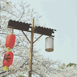 五月婷婷综合在线
