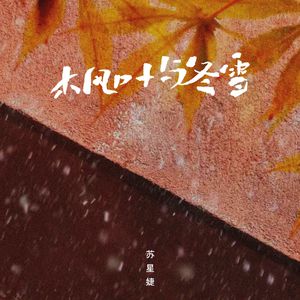 五月婷婷综合在线
